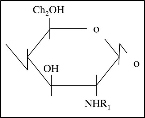 Chemical structures of chitin.