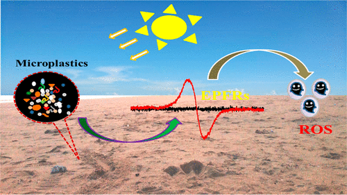 Diagram 3 Shows how microplastics exposed to solar irradiation show possible contamination with environmentally persistent free radicals (EPFRs). The formation of these environmentally persistent free radicals, reactive oxygen species were also detected.