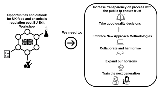 The diagram presents the workshop outcomes in a figure.