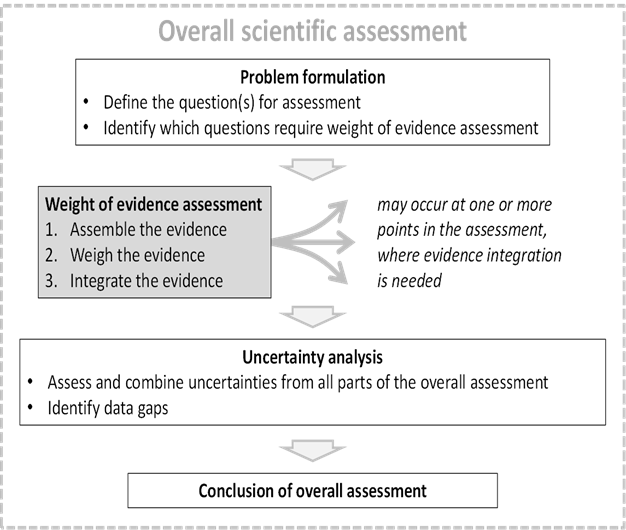 Diagrammatic illustration of weight of evidence assessment as a 3-step process which may occur at one or more points in the course of a scientific assessment.