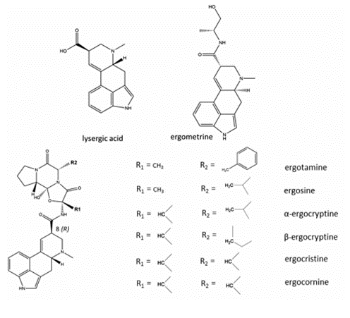 Chemical structures of lysergic acid and ergometrine. 
