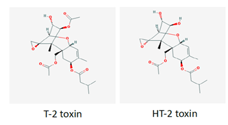 Figure 1 gives the chemical structures of the mycotoxins T-2 and HT-2.