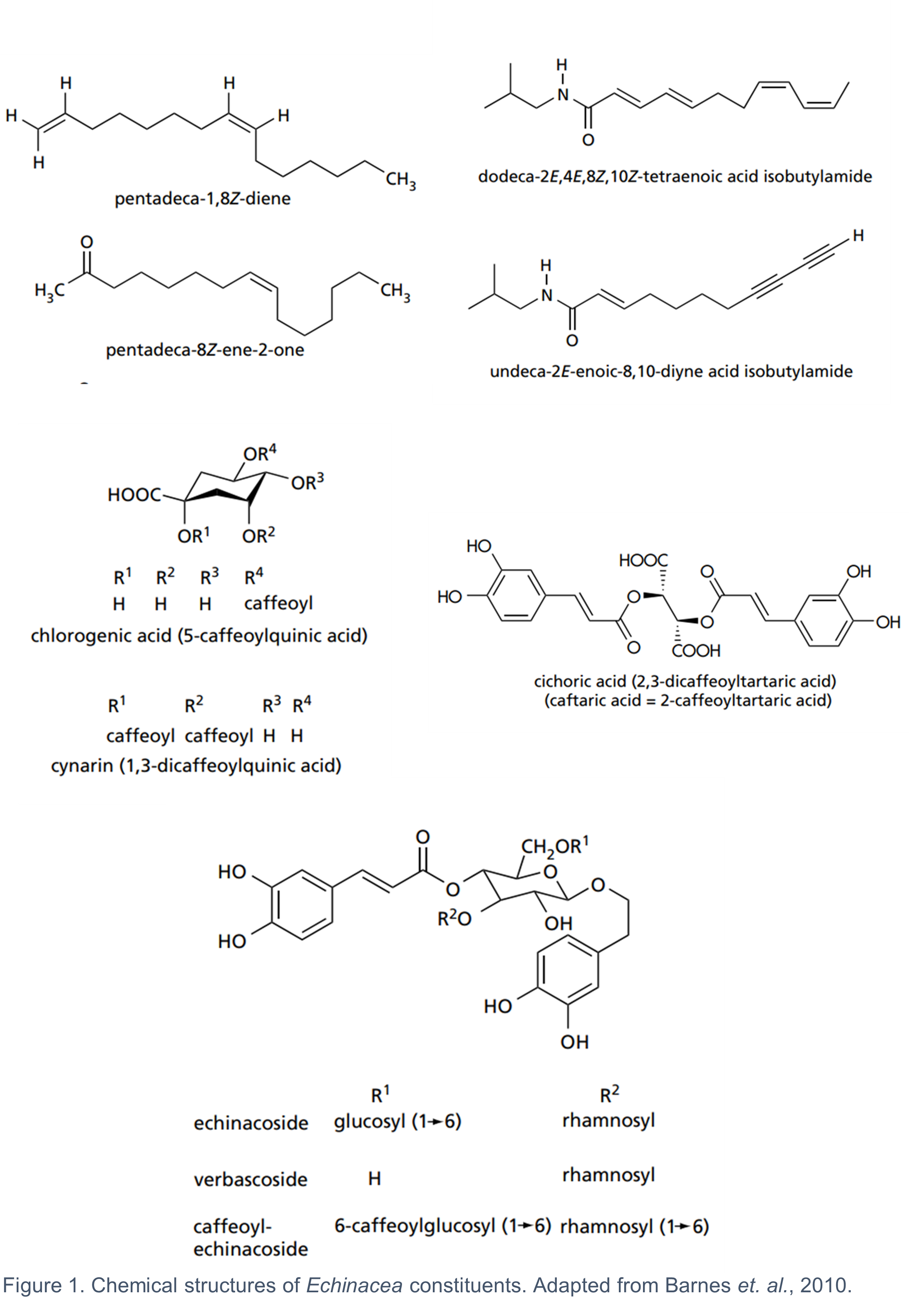 Figure 1 is the chemical structures of the different echinacea components.