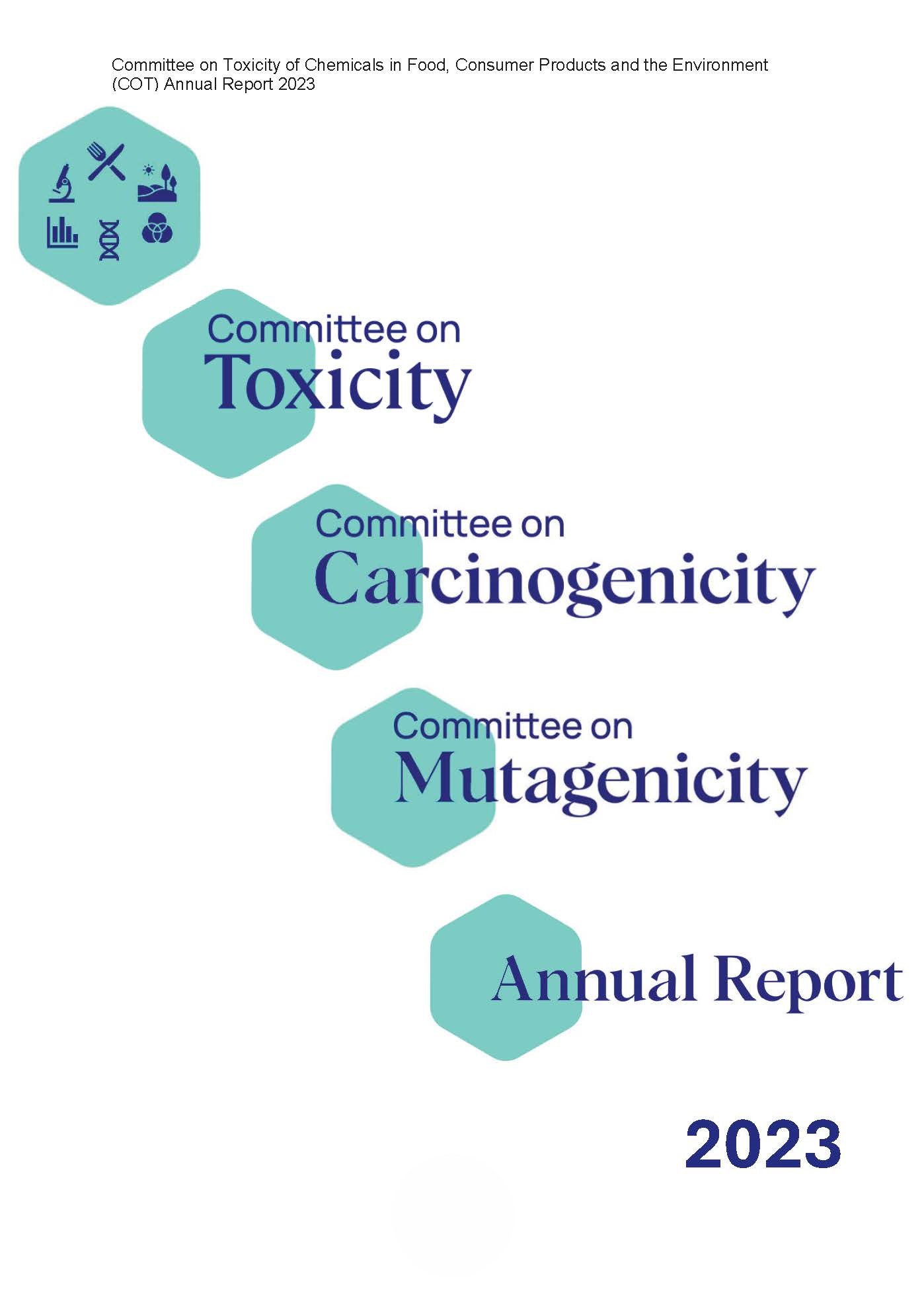 An image of the front cover of the annual report. 