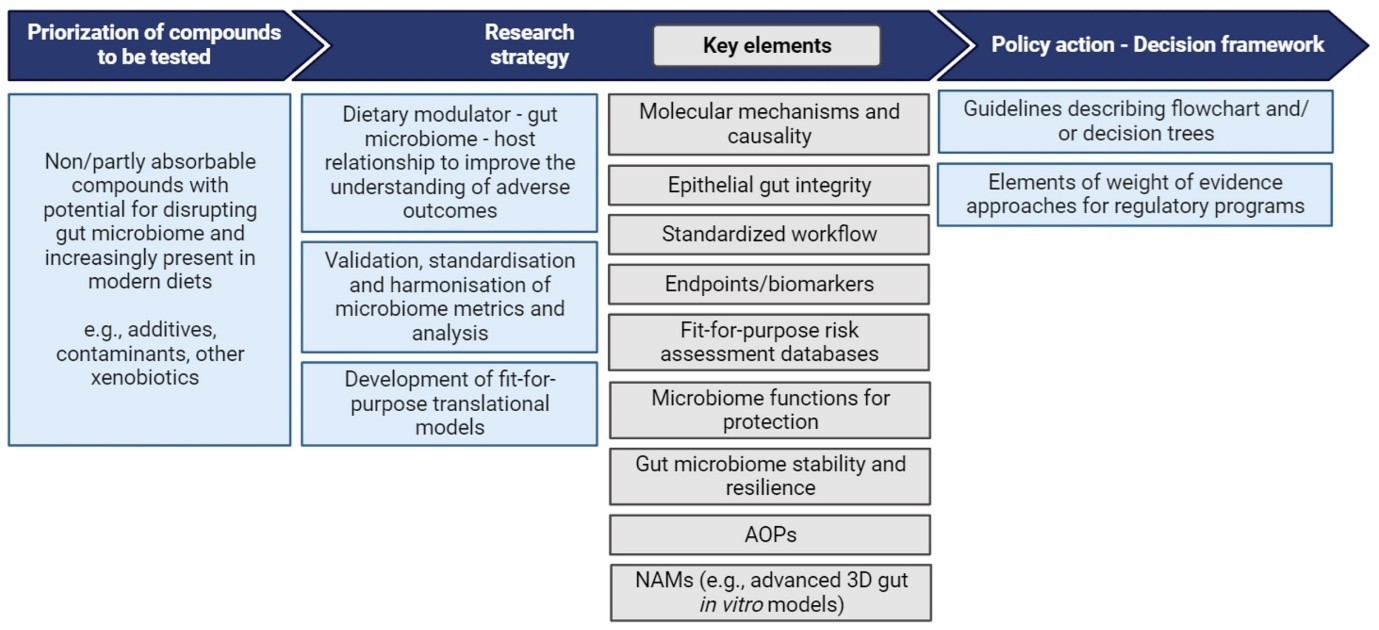 Roadmap figure to advance research to address risk assessment needs in microbiome.
