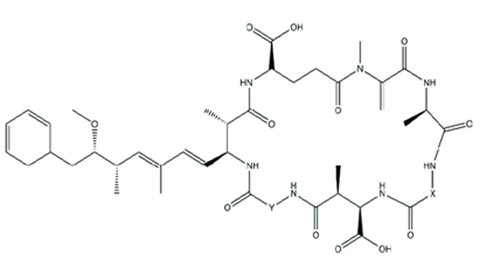 General chemical structure of microcystins.