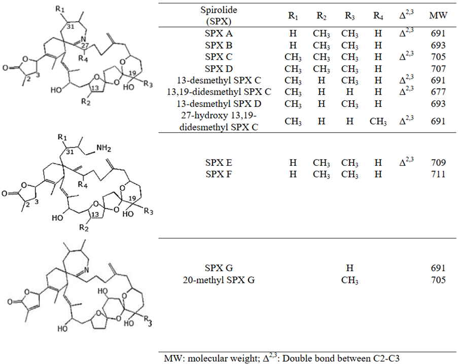 Chemical structures of spirolides A to G.