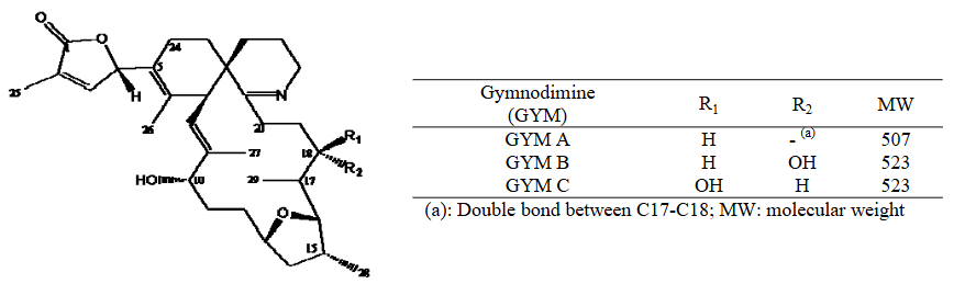 Chemical structures of gymnodimines A, B and C.