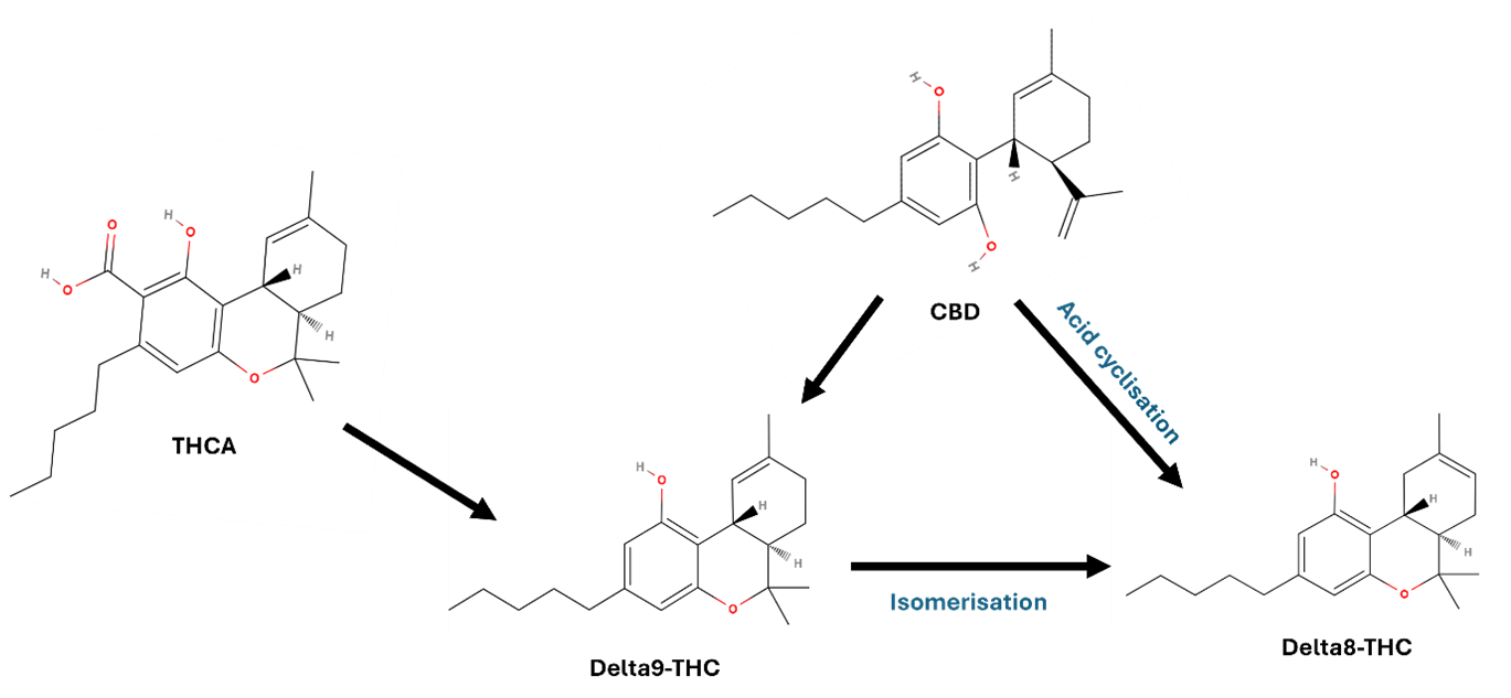 This diagram shows the formation of Δ8-THC  from other cannabinoids.