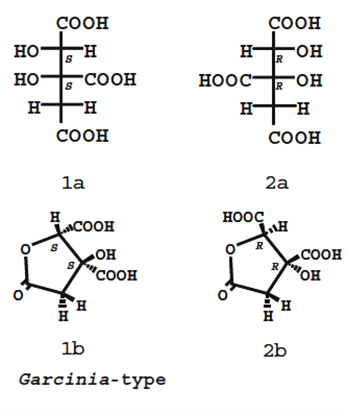 This figure shows 4 structures of HCA derived from Garcinia ssp. It shows the non-lactone and lactone forms (reproduced from Yamada et al., 2007).