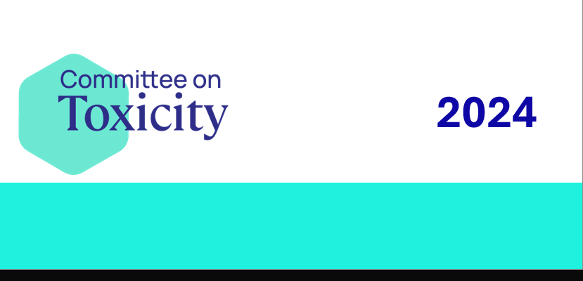 Page footer, showing the Committee on Toxicity logo as text across a hexagonal shape to the left of the image. The year 2024 is in bold blue text on the right of the image with a bright blue solid band of colour underneath. 