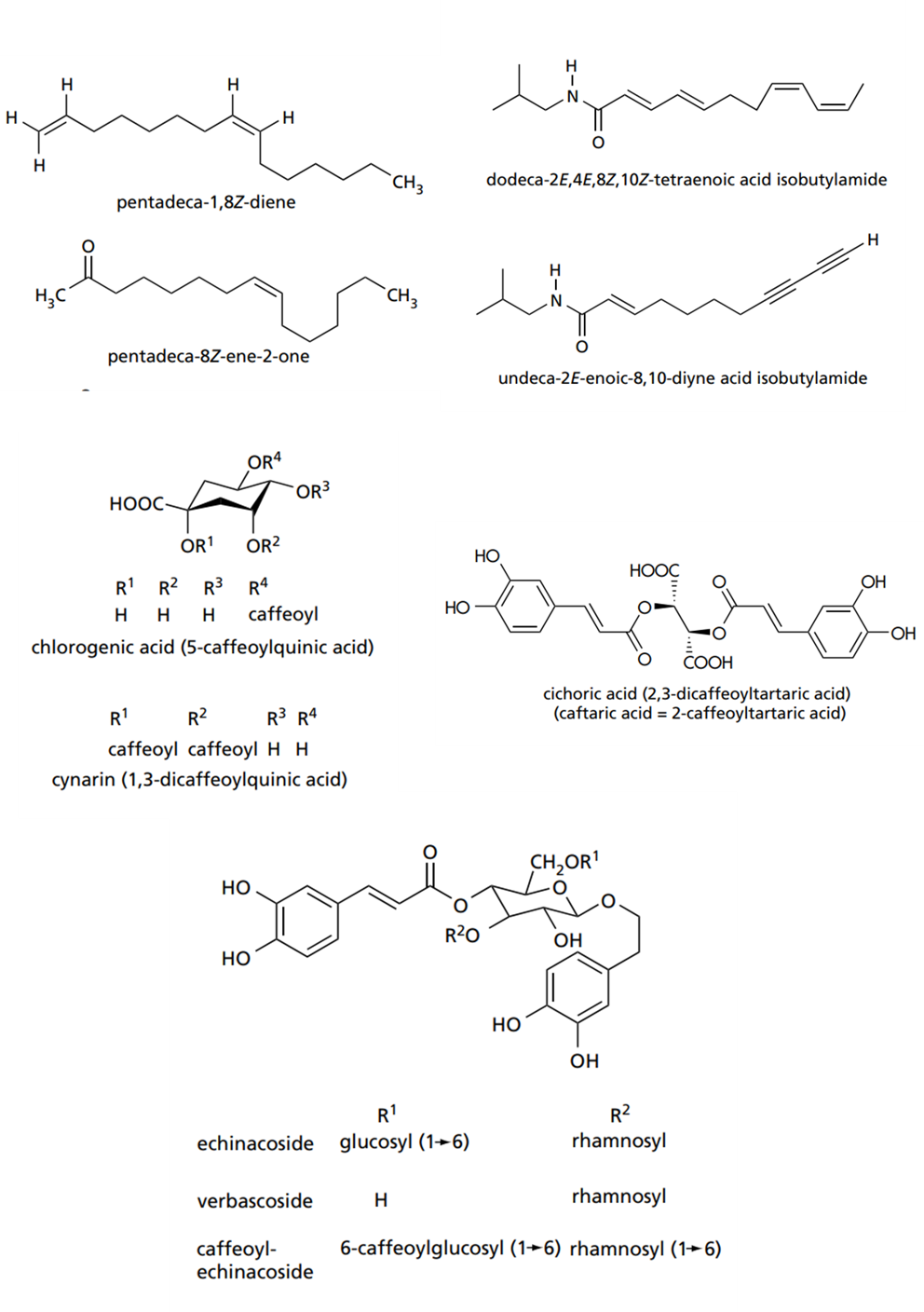 Figure 1 is the chemical structures of the different echinacea components.
