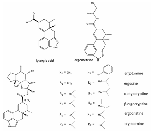 Chemical structures of lysergic acid and ergometrine. 