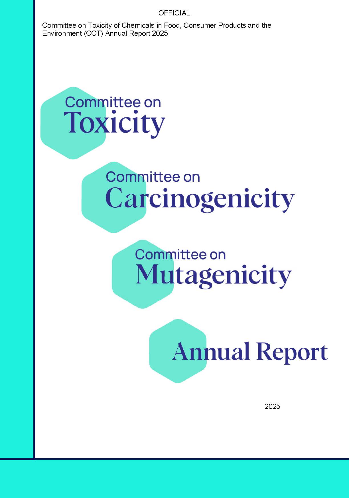 Draft 2025 Annual Report front page. 