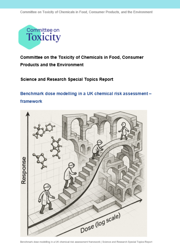 Benchmark dose modelling in a UK chemical risk assessment framework cover page.