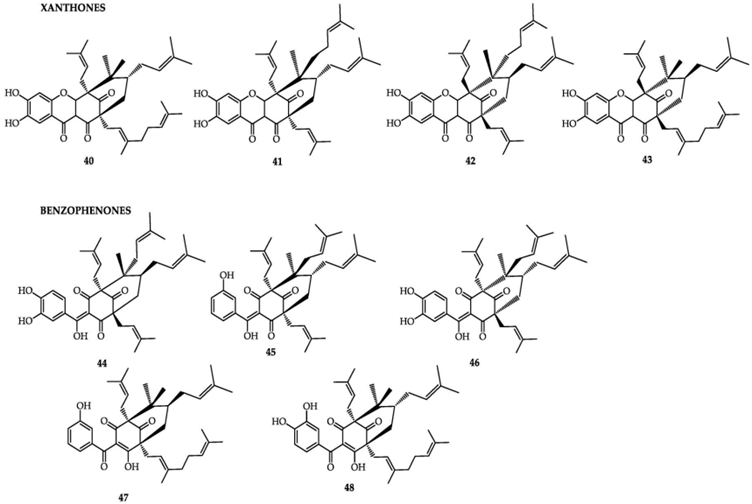 This figure shows 9 chemical structures of the xanthone and benzophenone classes of bioactive compounds from G. cambogia (reproduced from Espirito Santo et al., 2020).