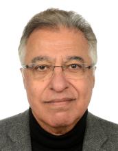Image of Professor Maged Younes in front of a white background wearing a grey jacket over a black jumper. 